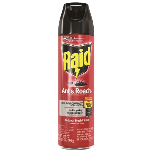 Raid® Ant and Roach Killer, 17.5oz